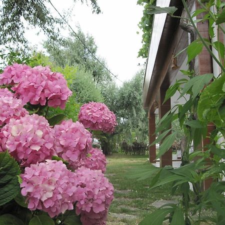 Uysallar Koy Evi İmroz Εξωτερικό φωτογραφία